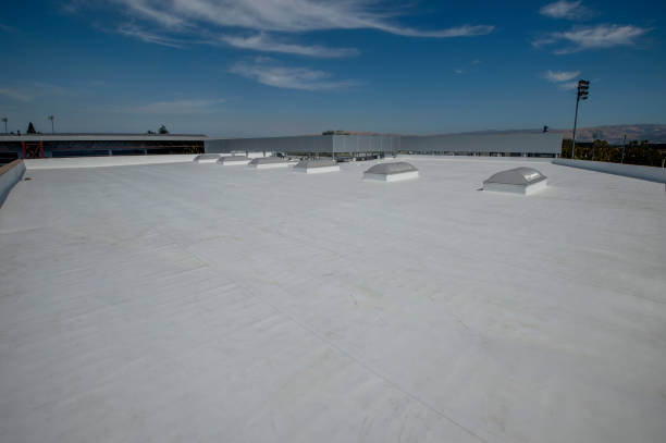 Best Roof Coating and Sealing  in Waipahu, HI