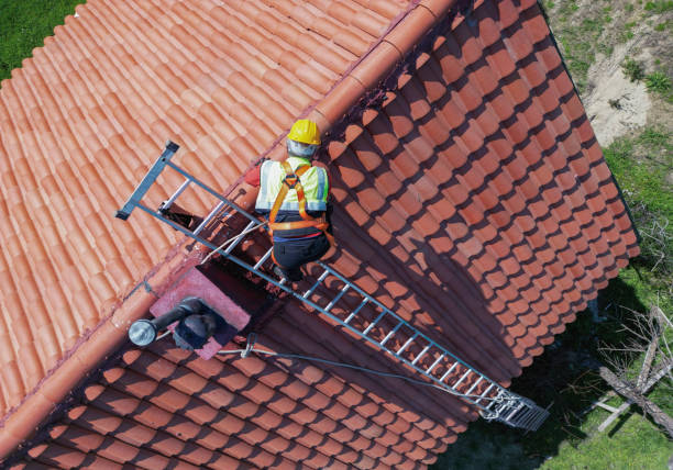 Best Green or Eco-Friendly Roofing Solutions  in Waipahu, HI